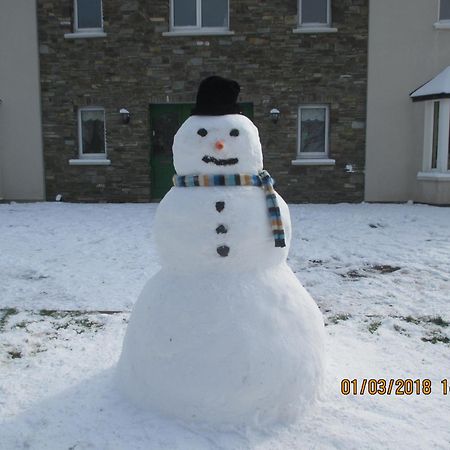 Pk Lodge Bed And Breakfast Skibbereen Esterno foto
