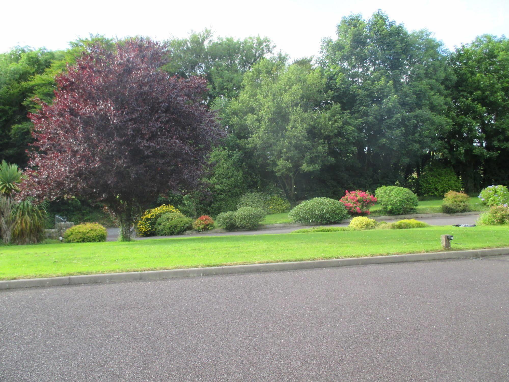 Pk Lodge Bed And Breakfast Skibbereen Esterno foto